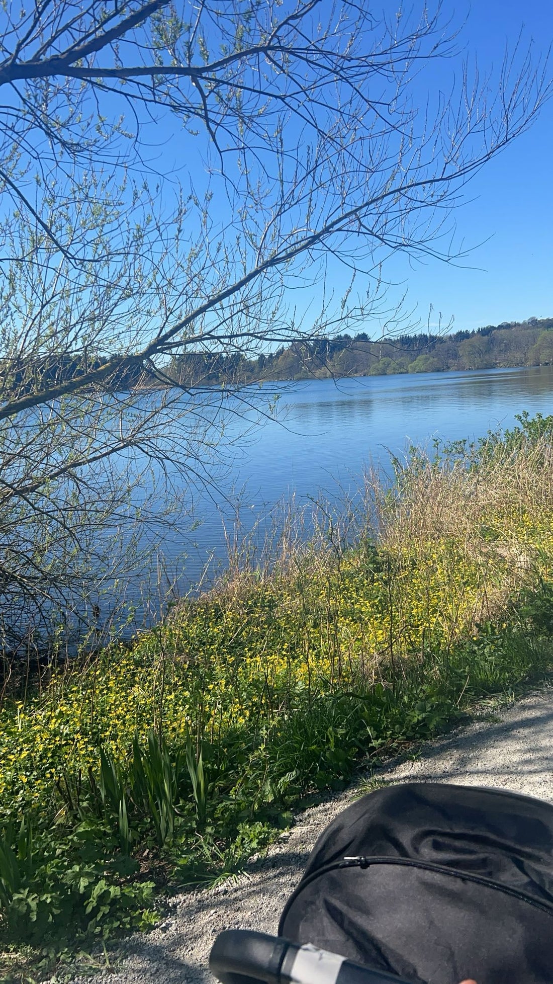 Healeren i deg: Hvordan man kan støtte andre uten å gå i stykker selv?